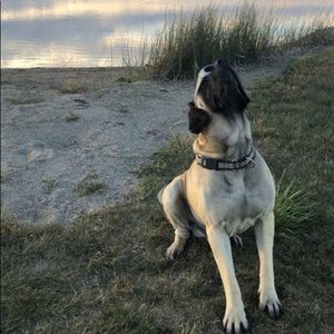 Meet your Posher, Trae